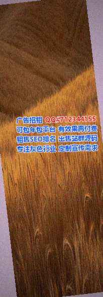 田阳代妈商贸事务所